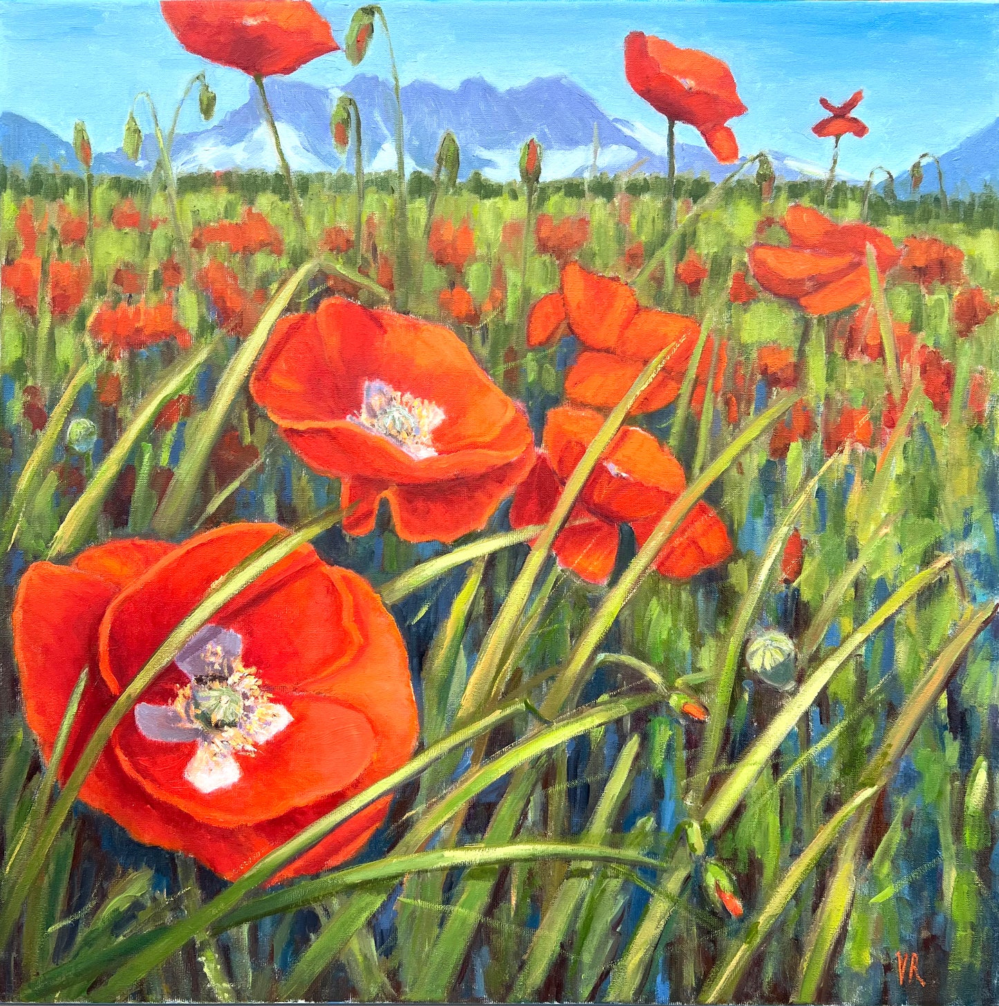 Rechsteiner Victoria, «Schweizer Mohn»